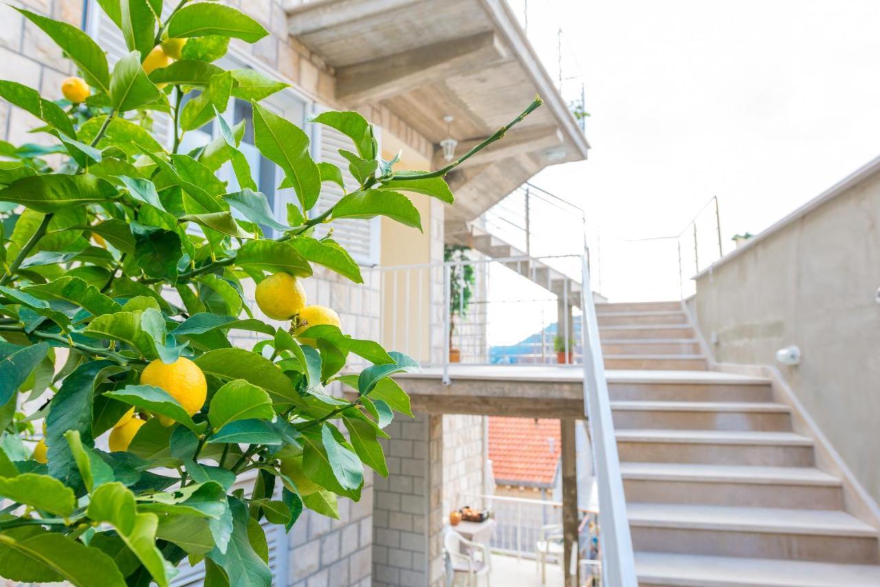 Moj Galebe Apartament Dubrovnik